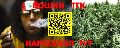 молекула духа Лесосибирск