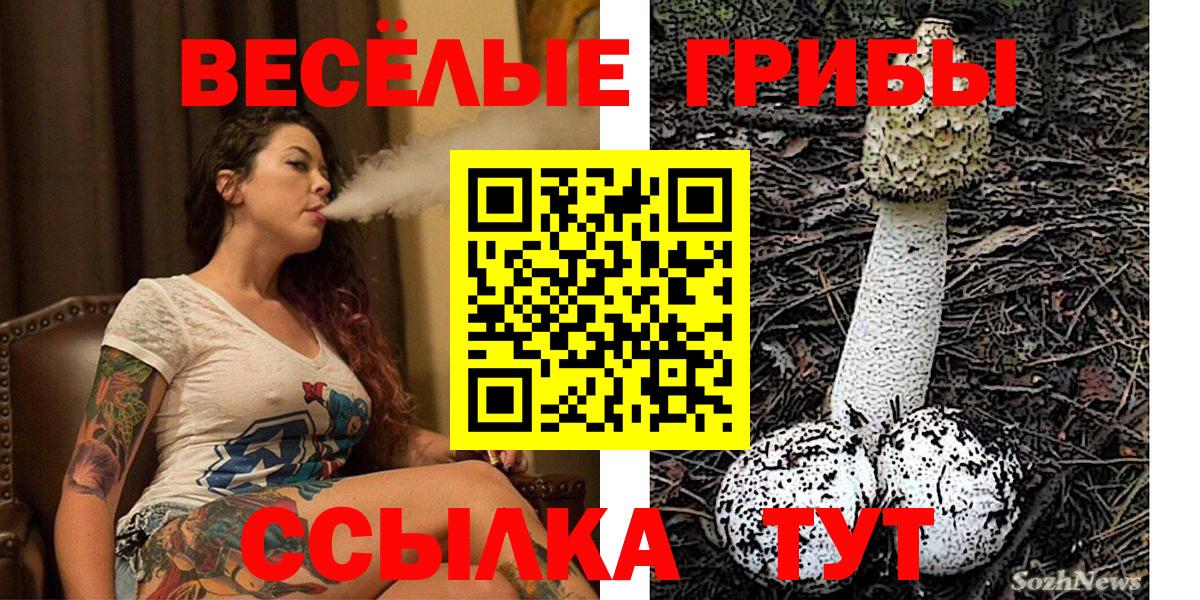 Меф  Чайковский  Гашиш  Каннабис  Cocaine  Кодеин  Меф МЯУ МЯУ   APVP СОЛЬ   Вход с VPN 